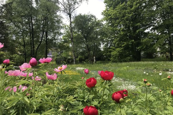 Na mednarodni dan čebel gremo v Botanični vrt na kavo in palačinke