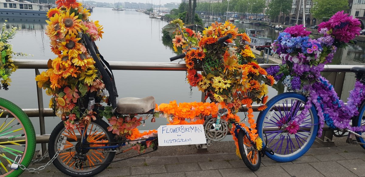 Flower Bike