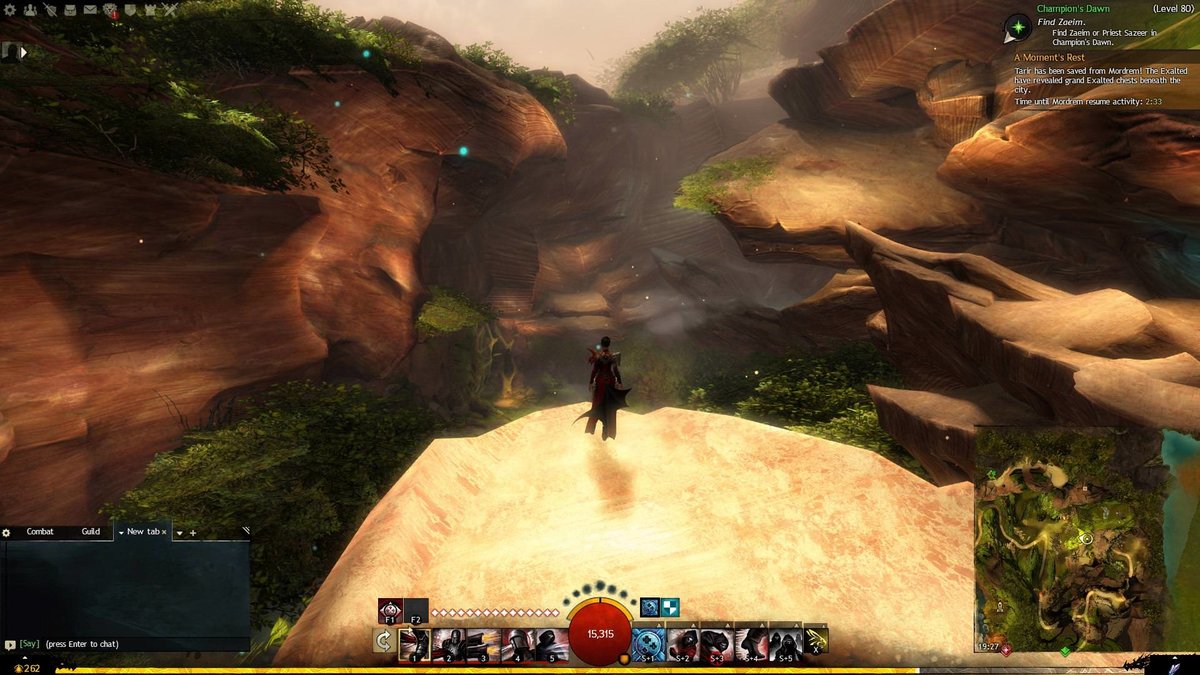 Guild Wars 2