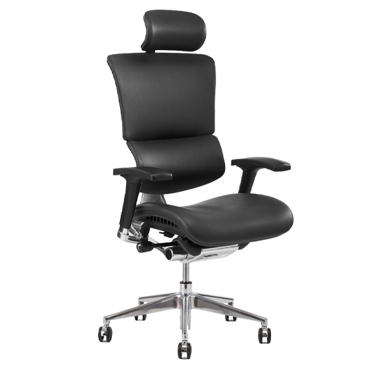 Ergovision pisarniški stol Smart Deluxe črn