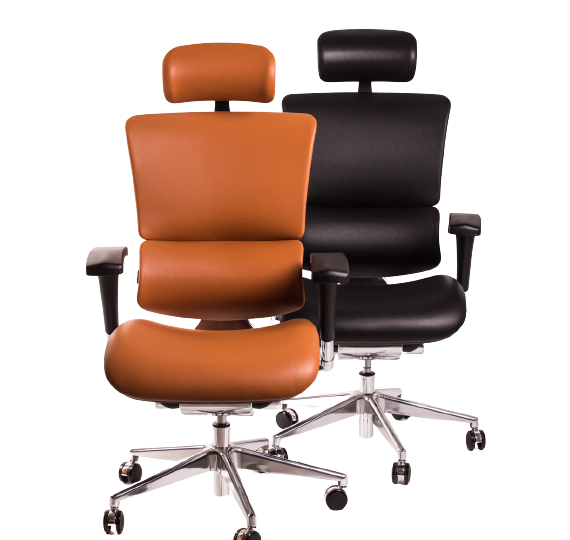 Ergovision pisarniški stol Smart Deluxe črn