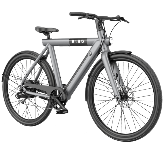 Električno kolo Bird Bike A FRAME Granitno siva