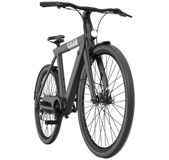 Električno kolo Bird Bike A FRAME Črna