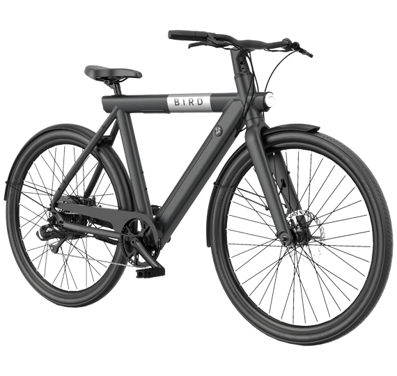 Električno kolo Bird Bike A FRAME Črna
