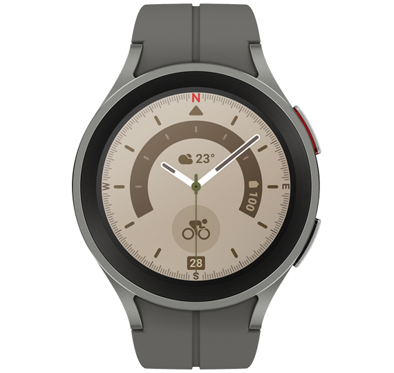 Samsung Galaxy Watch5 Pro BT Gray Titanium