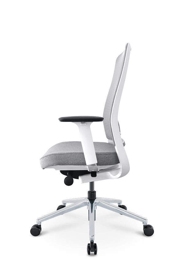 Pisarniški stol Ergovision Flex belo/siv