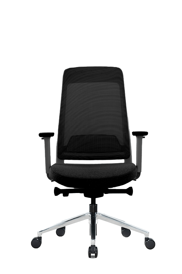 Pisarniški stol Ergovision Flex črn