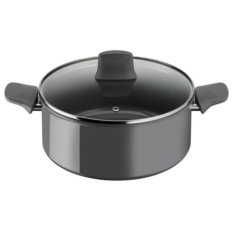 Lonec s pokrovom Tefal Renewal 24 cm C4264673