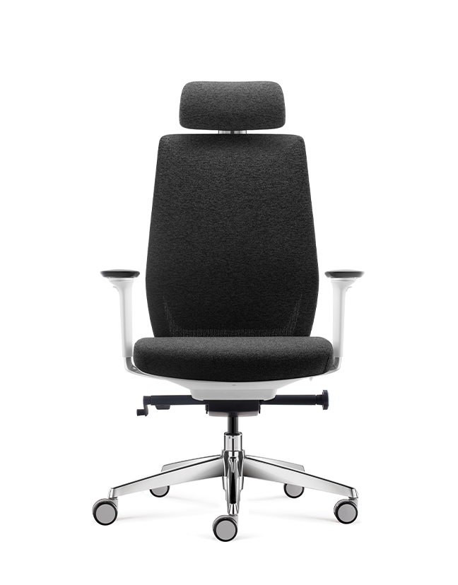 Ergovision pisarniški stol Comfort Siv