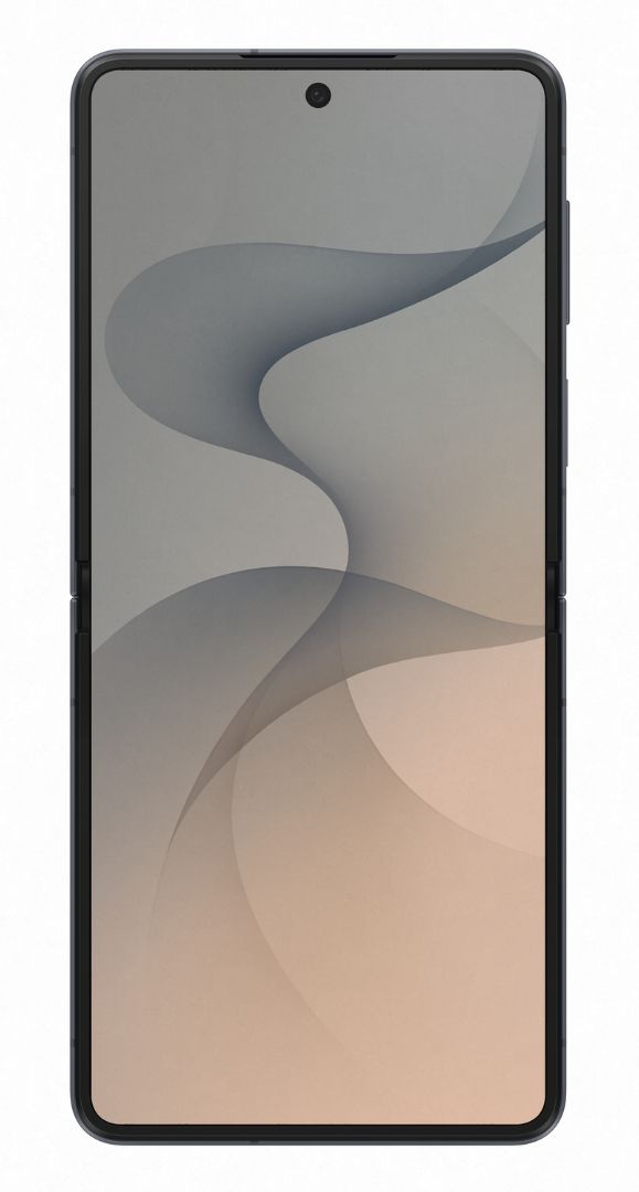 Samsung Galaxy Z Flip8 256GB grafitna