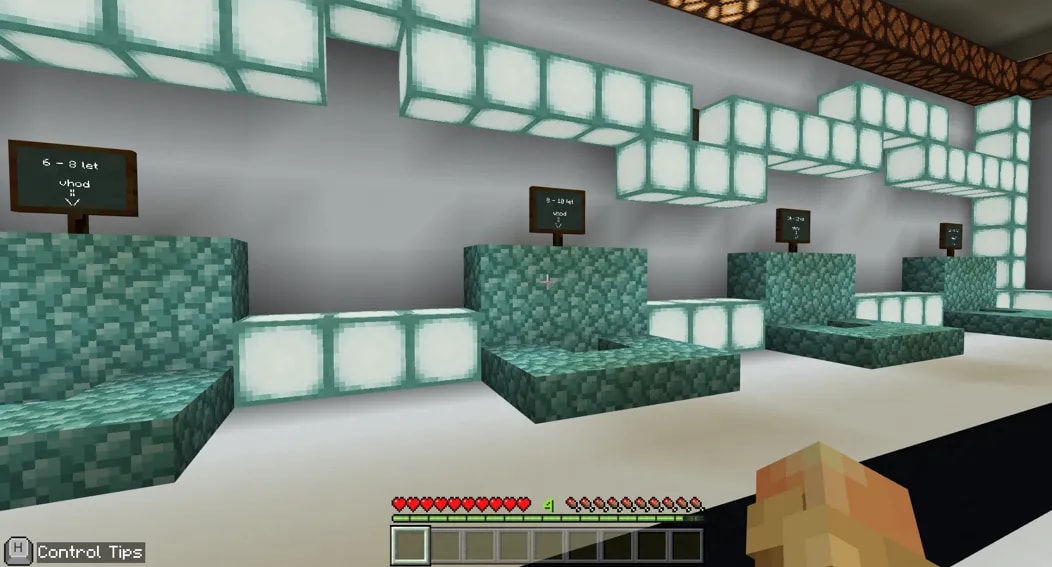 Minecraft varnost na spletu
